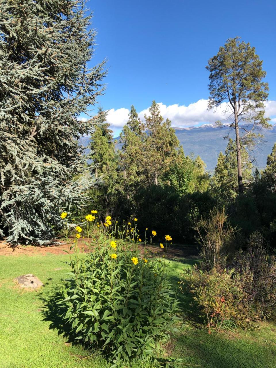Altos Del Sur Cabanas De Montana El Bolsón Екстериор снимка